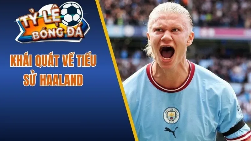 Khái quát về tiểu sử Haaland 